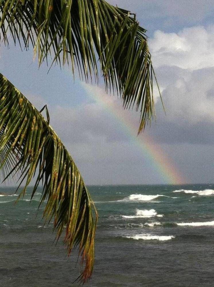 Rainbow Beach Apartments & Rooms Calibishie Bagian luar foto